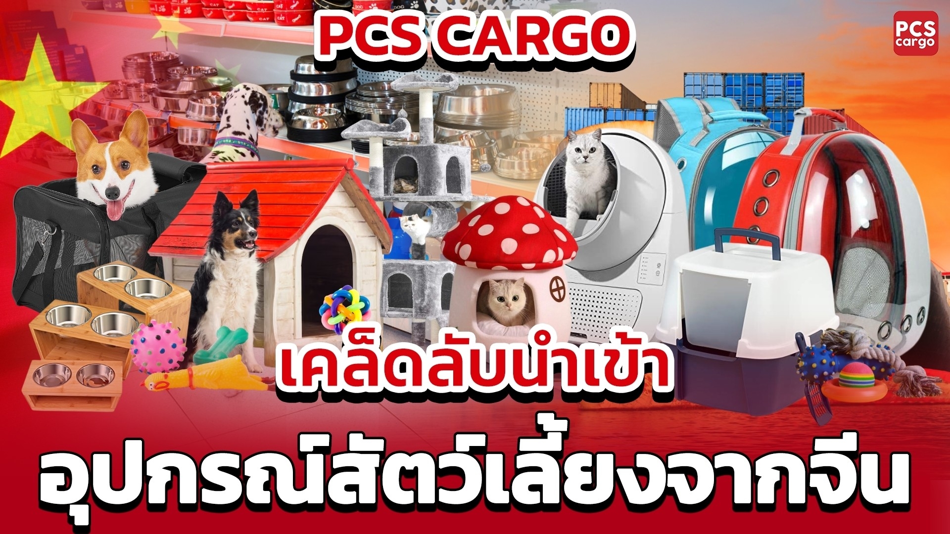 ของใช้แมว, บ้านแมวหลายชั้น, เครื่องให้อาหารอัตโนมัติ, อุปกรณ์ตัดเล็บแมว, ของเล่นแมวราคาถูก, นำเข้าสินค้าสัตว์เลี้ยงราคาส่ง, บ้านหมาแมว, กรงพับได้สำหรับแมว, การขนส่งสินค้าสัตว์เลี้ยง, อุปกรณ์ดูแลสัตว์เลี้ยง, นำเข้าสินค้าสำหรับสัตว์เลี้ยง, เคล็ดลับนำเข้าสินค้าจีน, บ้านแมวไม้, อุปกรณ์สัตว์เลี้ยงราคาถูก, ของเล่นสัตว์เลี้ยงนำเข้า, กระเป๋าแมวแฟชั่น, เตียงสุนัขนุ่ม, ชุดสัตว์เลี้ยงราคาส่ง, กรงพับราคาถูก, การนำเข้าสินค้าจากจีน, 1688 อุปกรณ์สัตว์เลี้ยง, บ้านสัตว์เลี้ยง, ที่นอนแมวกันน้ำ, ชามอาหารแมวอัตโนมัติ, บริการสั่งซื้อจากจีน, อุปกรณ์หมาแมว, กรงเลี้ยงสัตว์ในบ้าน