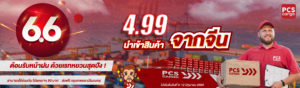 โปรโมชันนำเข้าสินค้าจีน 6.6
